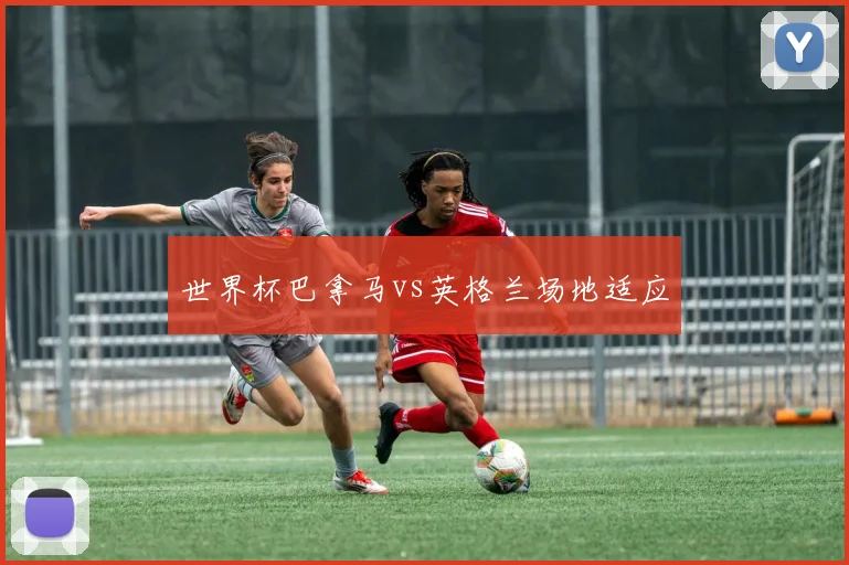 世界杯巴拿马vs英格兰场地适应