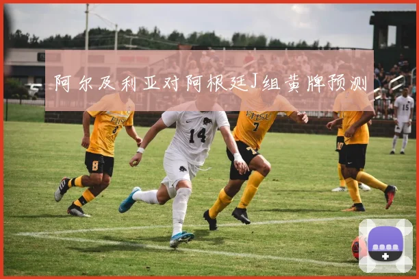 阿尔及利亚对阿根廷J组黄牌预测