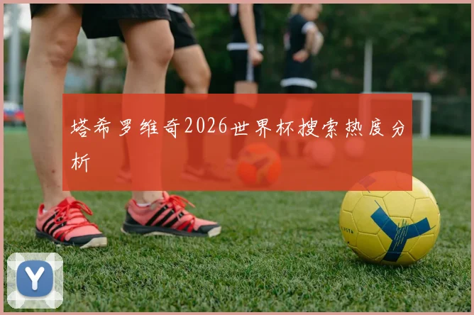 塔希罗维奇2026世界杯搜索热度分析