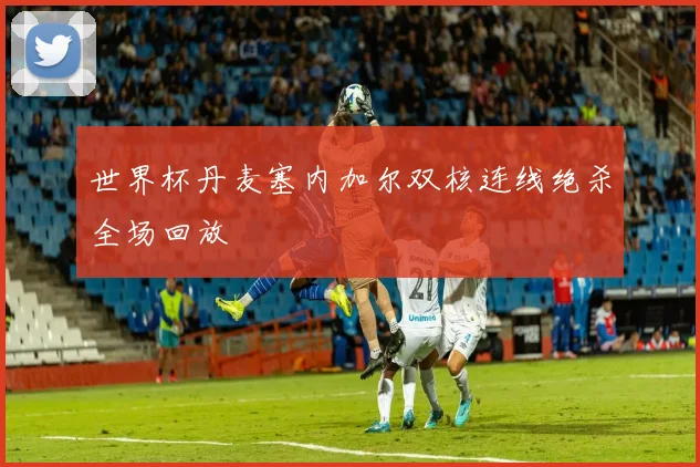 世界杯丹麦塞内加尔双核连线绝杀全场回放