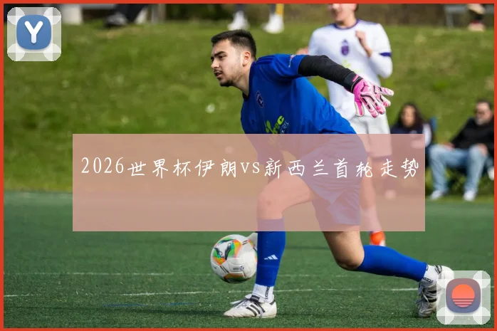 2026世界杯伊朗vs新西兰首轮走势