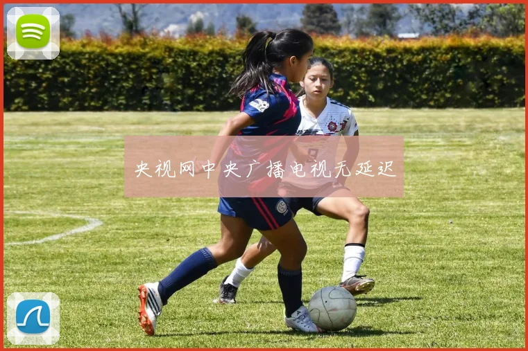 央视网中央广播电视无延迟