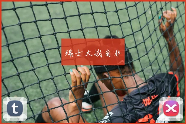 瑞士大战南非