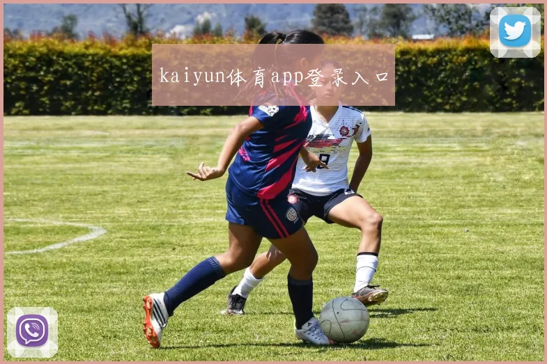 kaiyun体育app登录入口