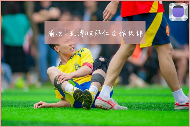 愉快!亚搏ag拜仁合作伙伴