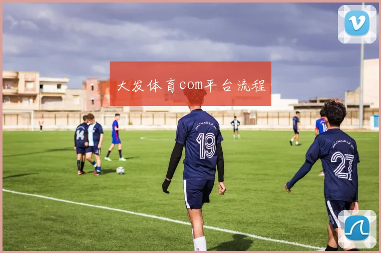大发体育com平台流程
