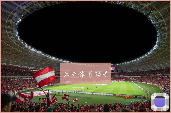 云开体育助手