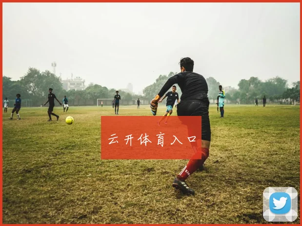 云开体育入口