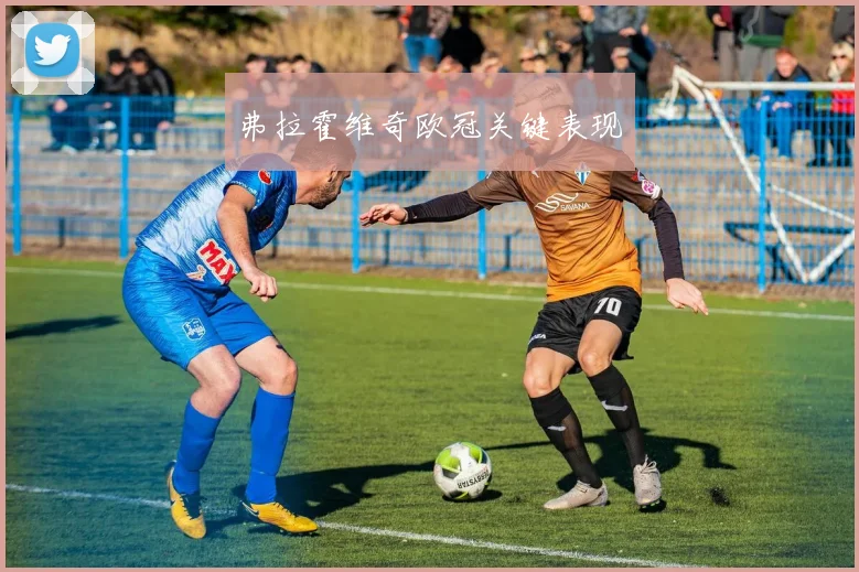 弗拉霍维奇欧冠关键表现