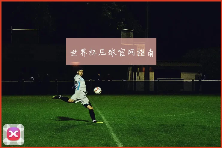 世界杯压球官网指南