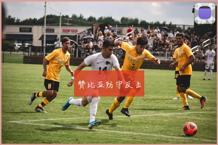 赞比亚防守反击