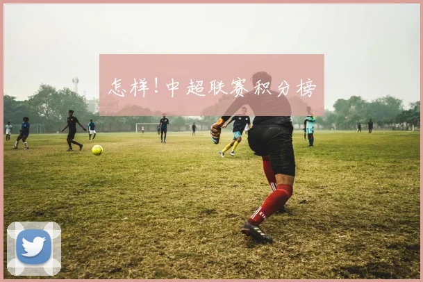 怎样!中超联赛积分榜