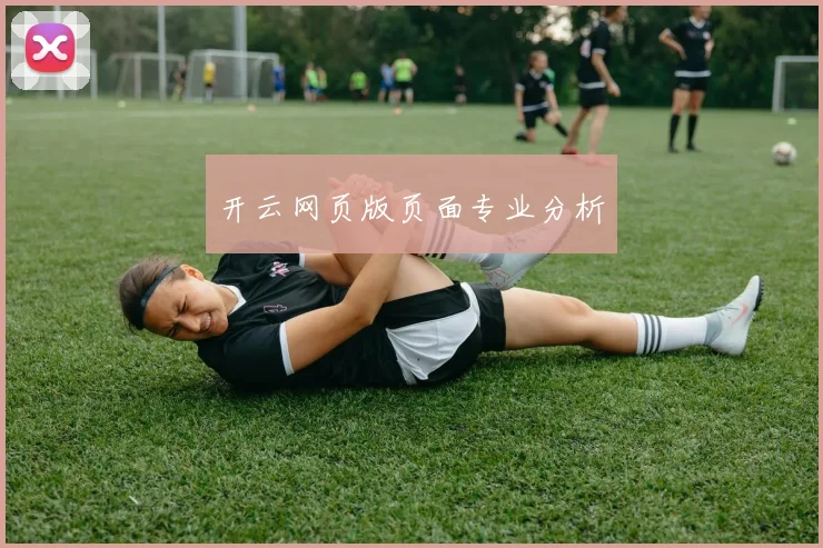 开云网页版页面专业分析