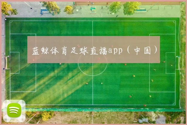 蓝鲸体育足球直播app（中国）