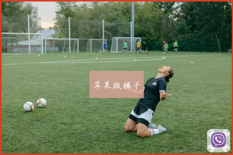 苹果版梯子