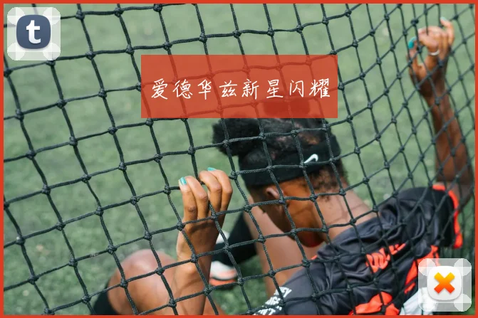 爱德华兹新星闪耀