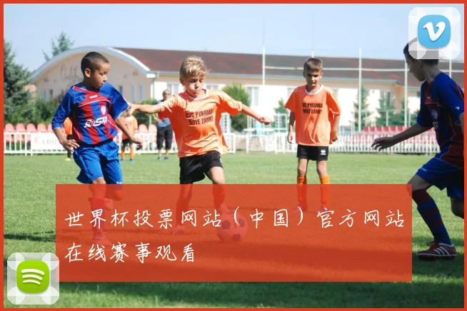 世界杯投票网站（中国）官方网站在线赛事观看