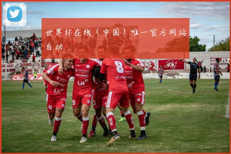 世界杯在线（中国）唯一官方网站自动