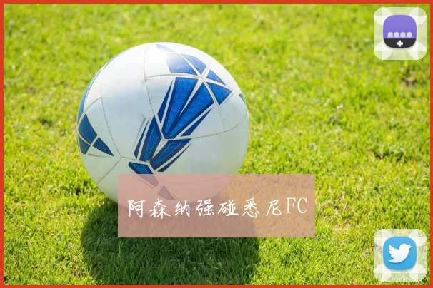 阿森纳强碰悉尼FC