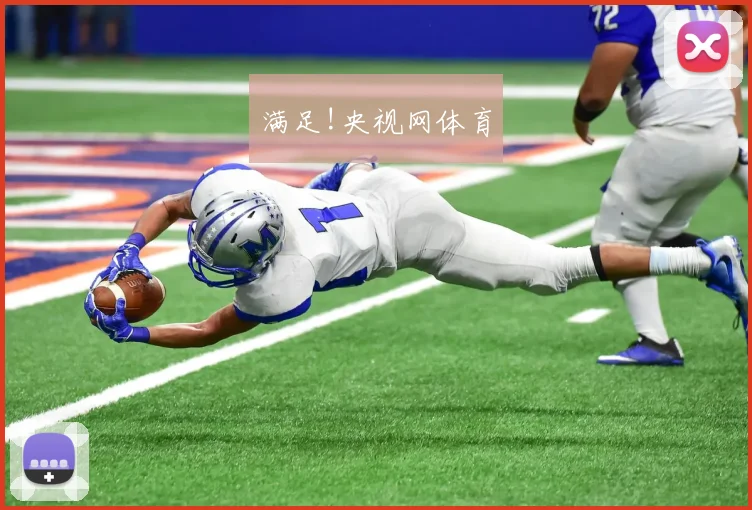 满足!央视网体育
