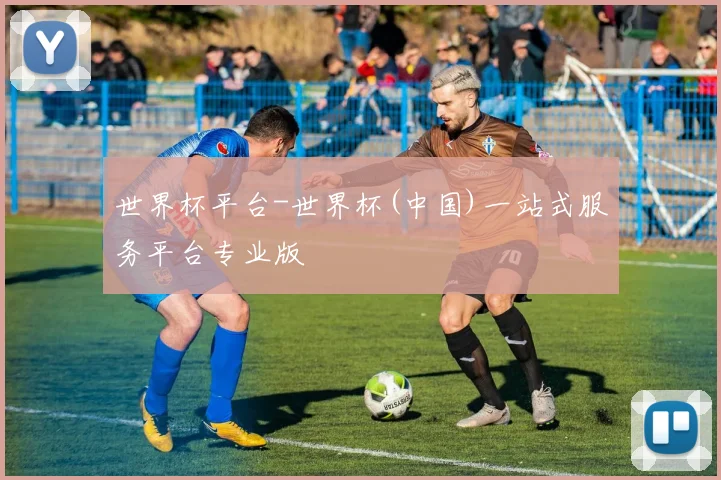 世界杯平台-世界杯(中国)一站式服务平台专业版