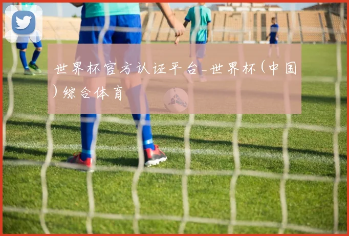 世界杯官方认证平台_世界杯(中国)综合体育
