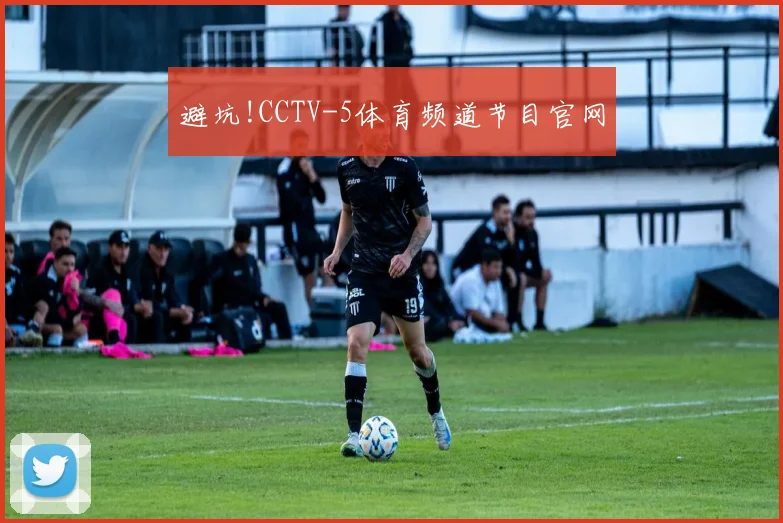 避坑!CCTV-5体育频道节目官网