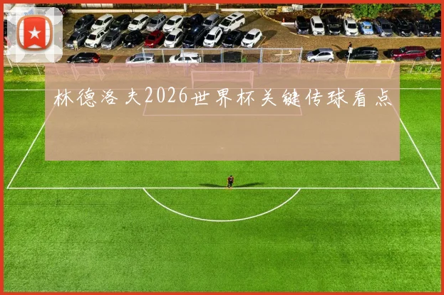 林德洛夫2026世界杯关键传球看点