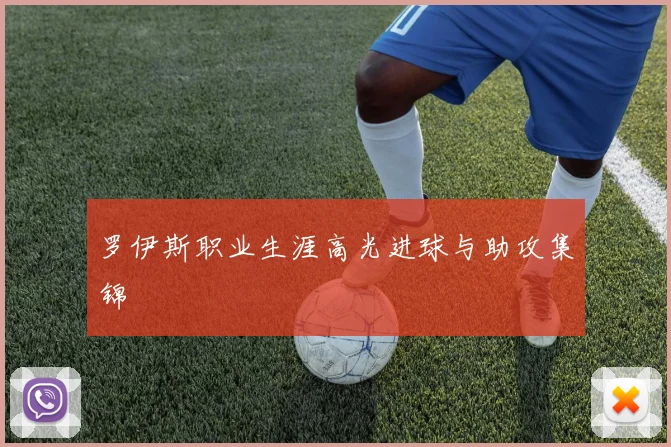 罗伊斯职业生涯高光进球与助攻集锦