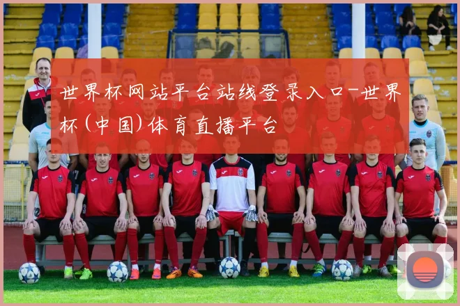 世界杯网站平台站线登录入口-世界杯(中国)体育直播平台