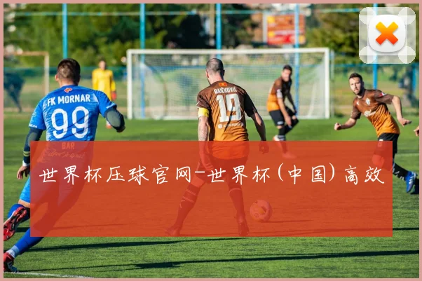 世界杯压球官网-世界杯(中国)高效