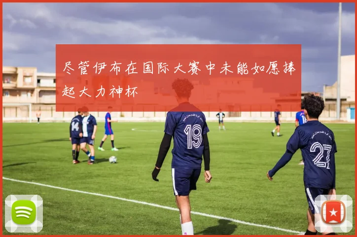 尽管伊布在国际大赛中未能如愿捧起大力神杯