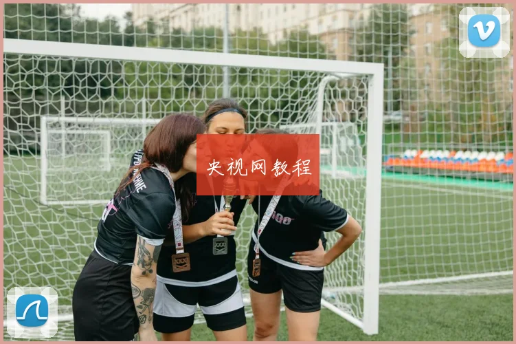 央视网教程