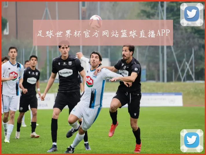 足球世界杯官方网站篮球直播APP