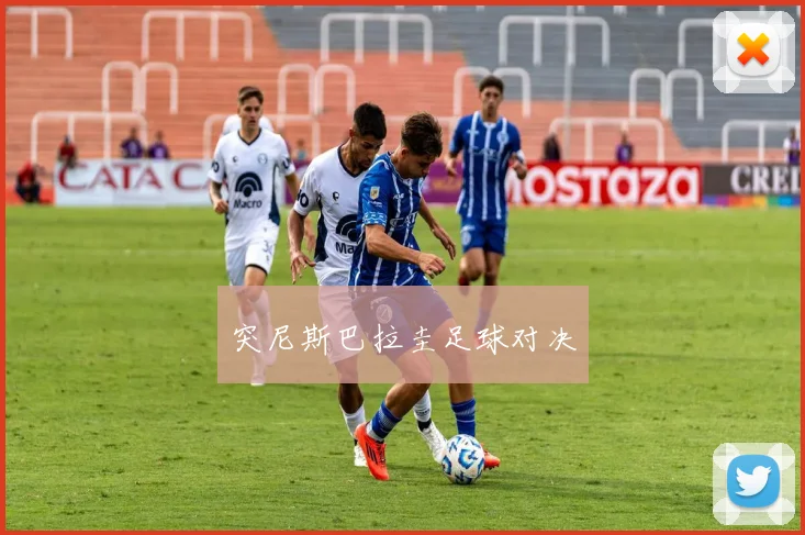 突尼斯巴拉圭足球对决