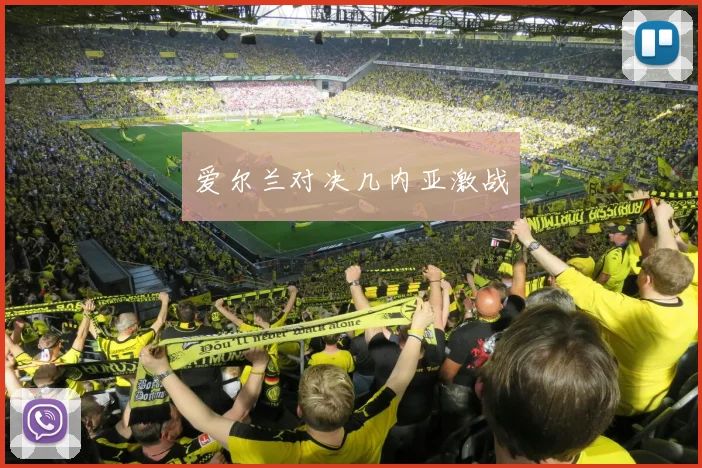 爱尔兰对决几内亚激战