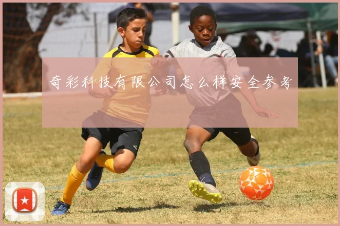 奇彩科技有限公司怎么样安全参考