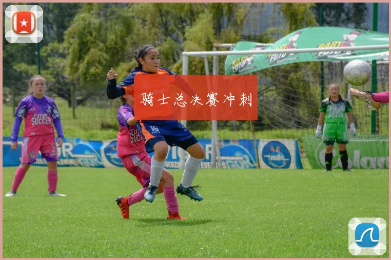 骑士总决赛冲刺