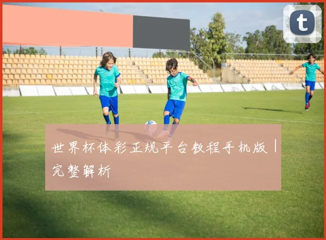 世界杯体彩正规平台教程手机版｜完整解析