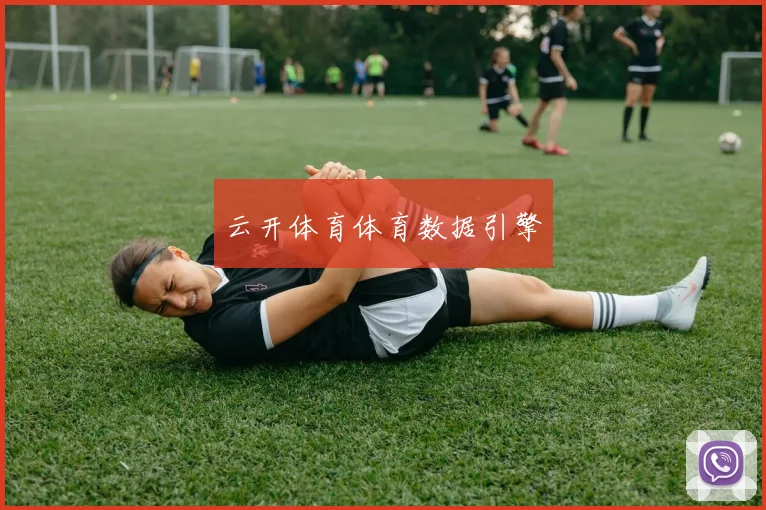 云开体育体育数据引擎