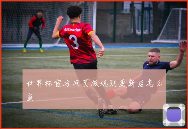 世界杯官方网页版规则更新后怎么查