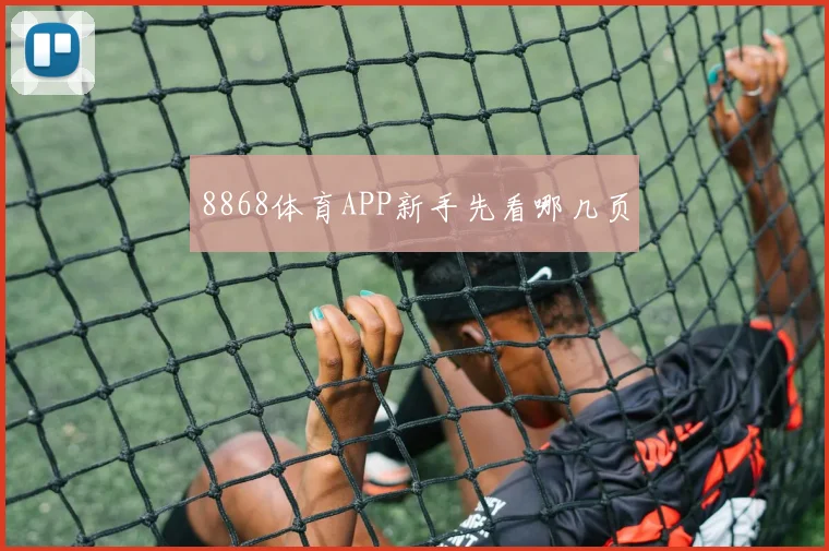 8868体育APP新手先看哪几页